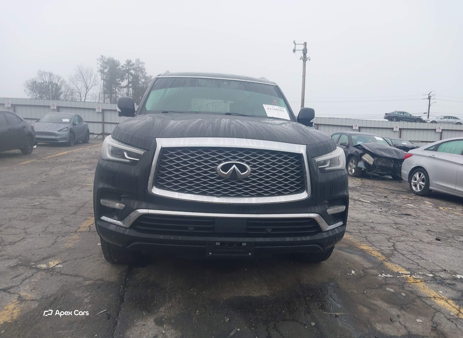 Infiniti QX80 2019