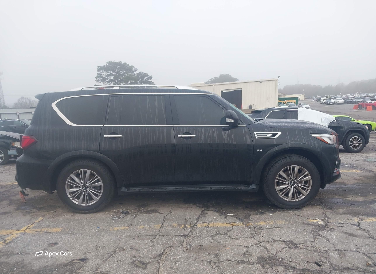 Infiniti QX80 2019