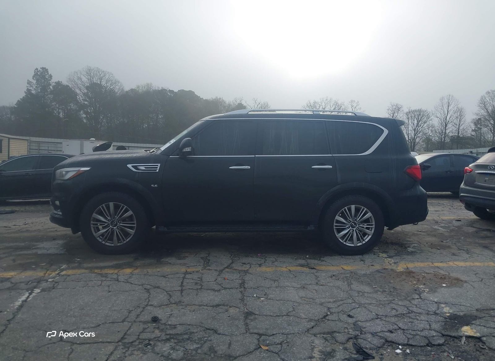 Infiniti QX80 2019
