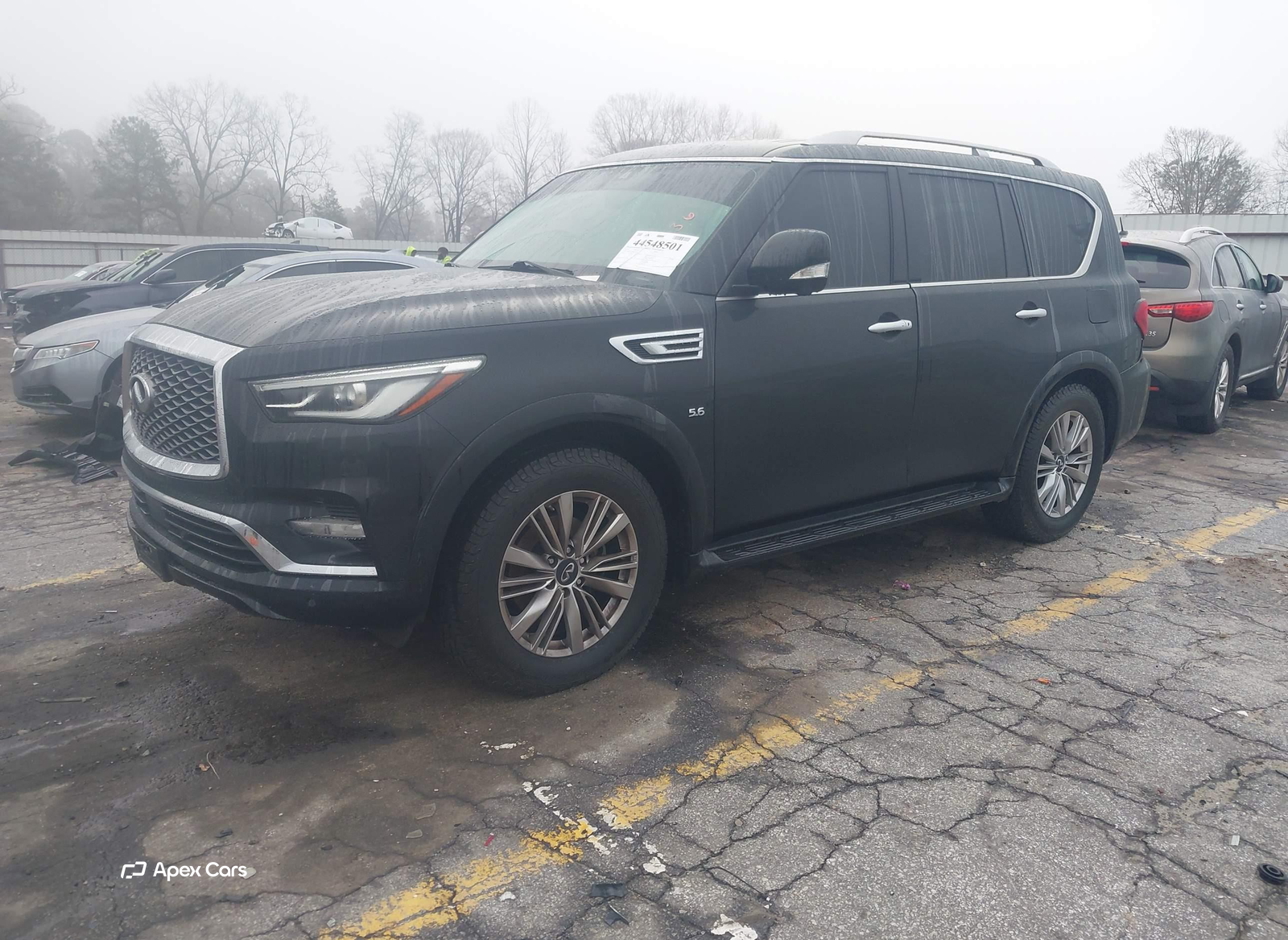 Infiniti QX80 2019