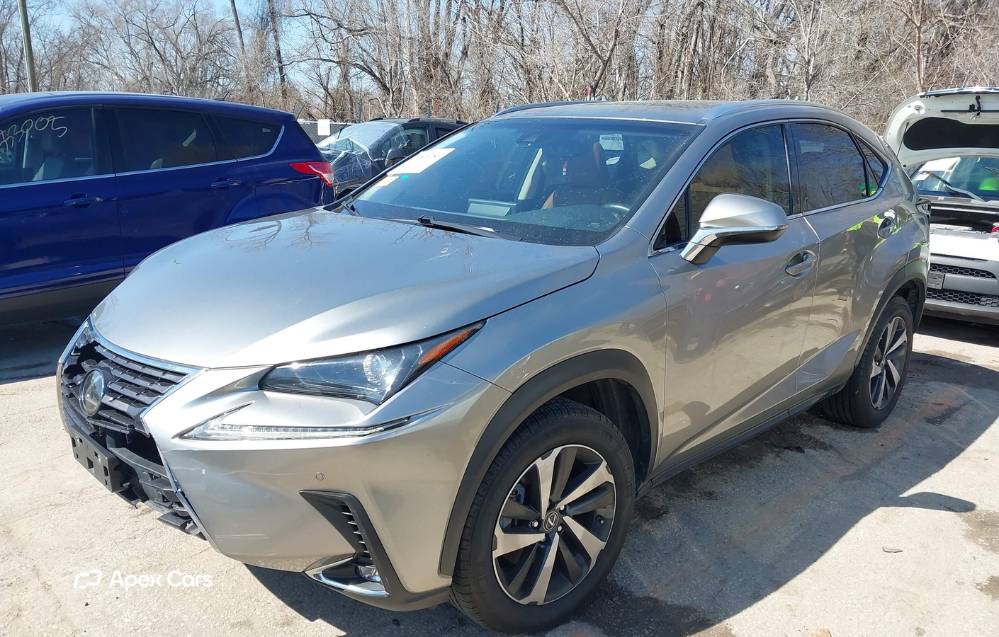 Lexus NX 2018