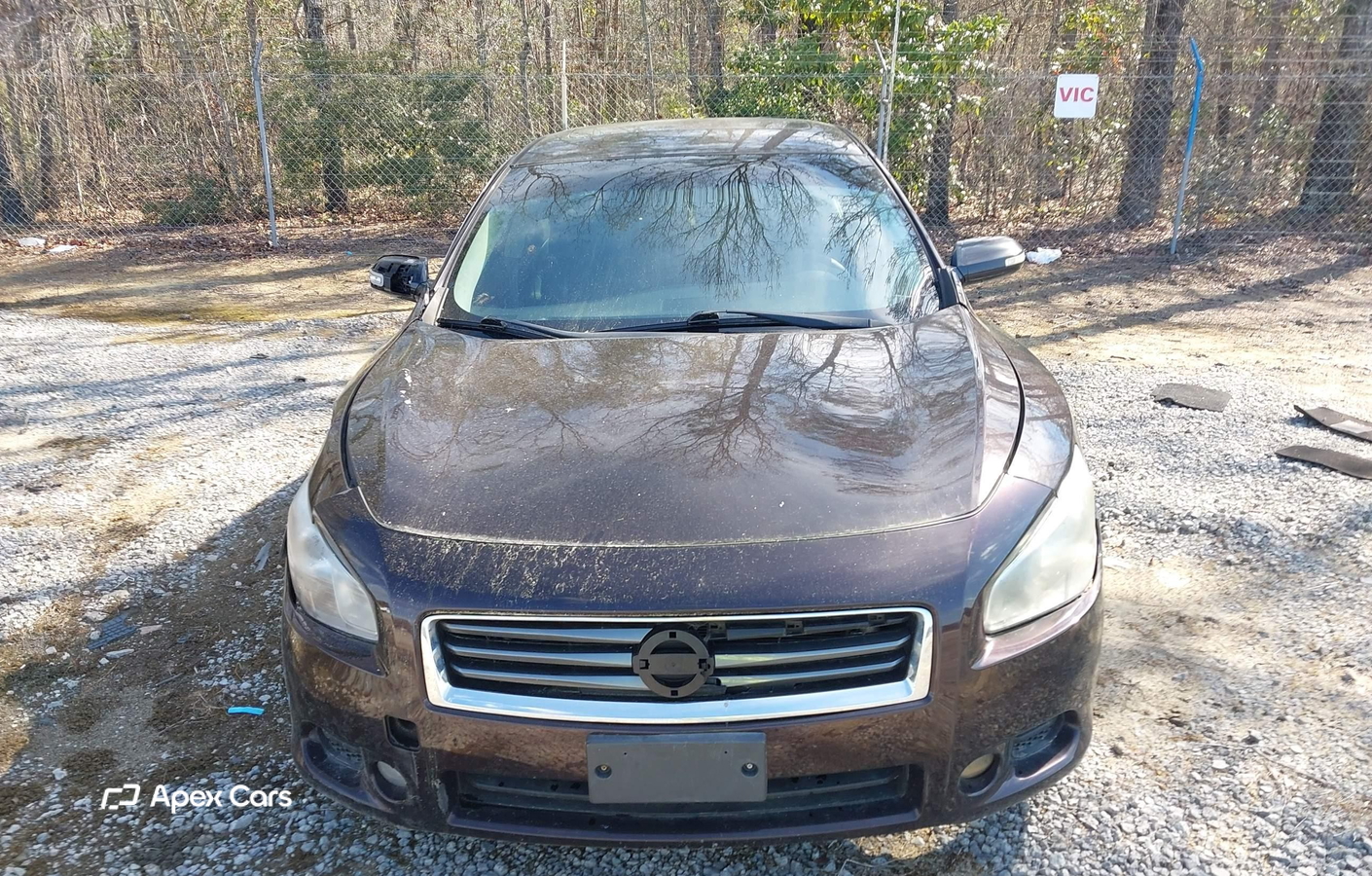 Nissan Maxima 2012