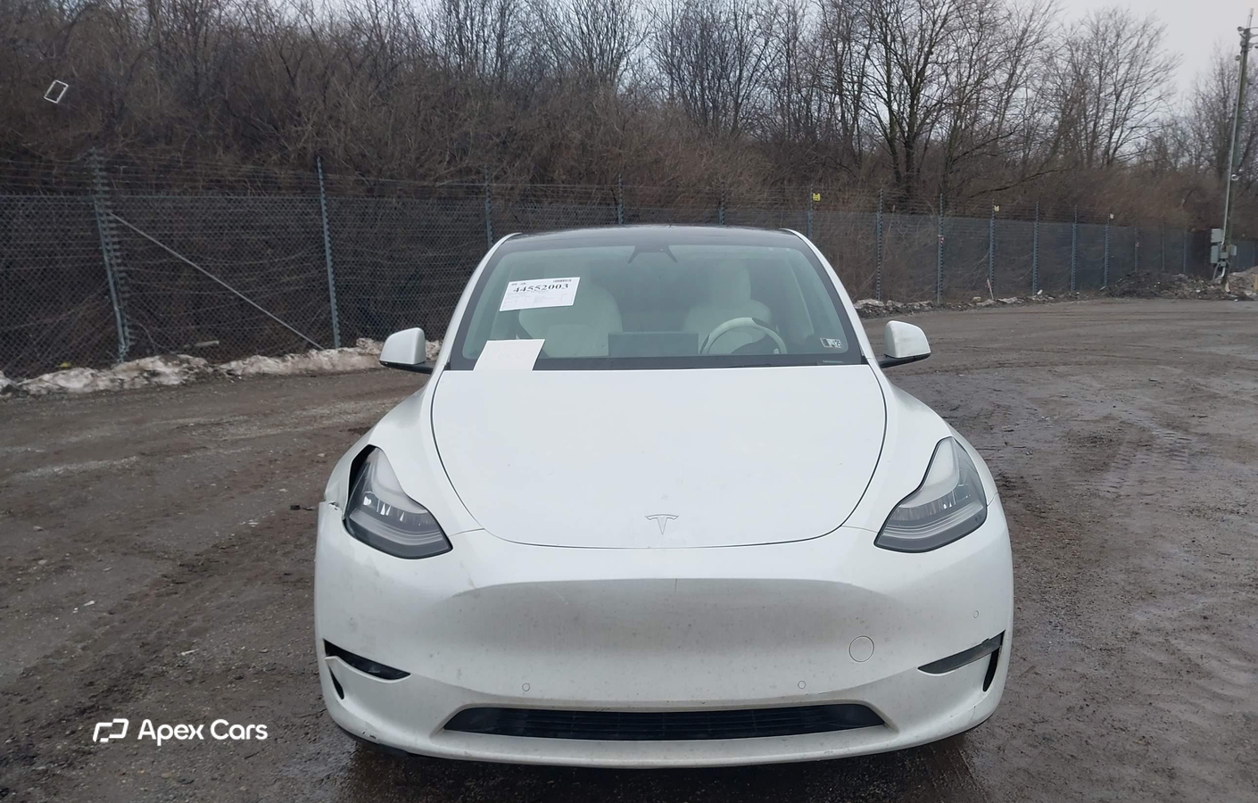 Tesla Model Y 2021