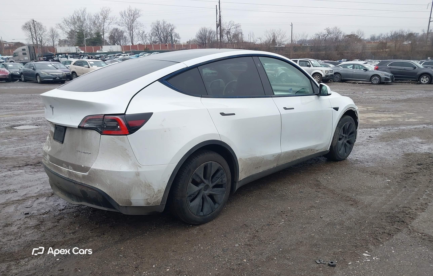 Tesla Model Y 2021