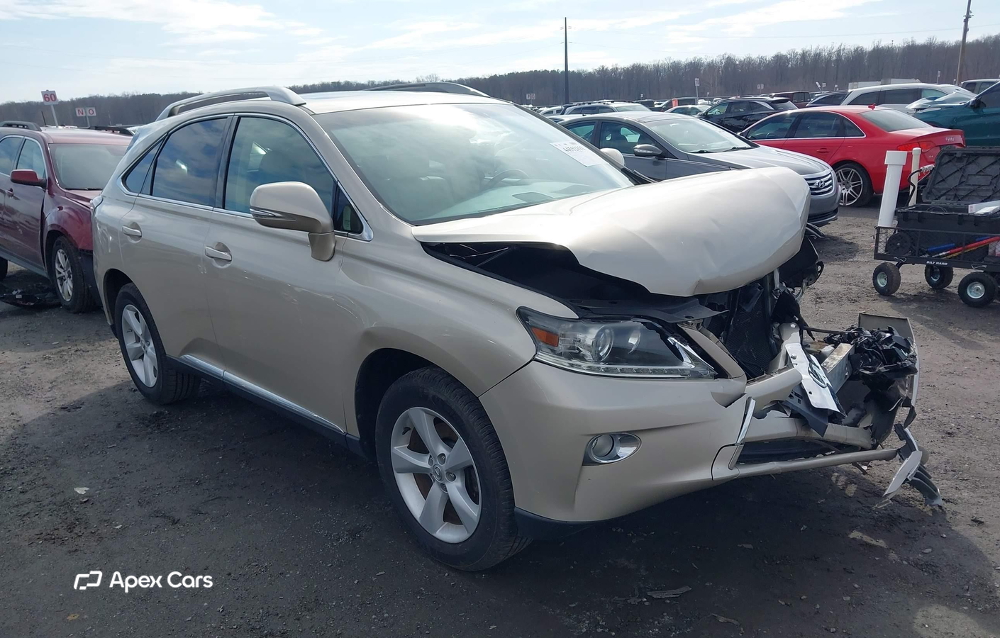 Lexus RX 2013