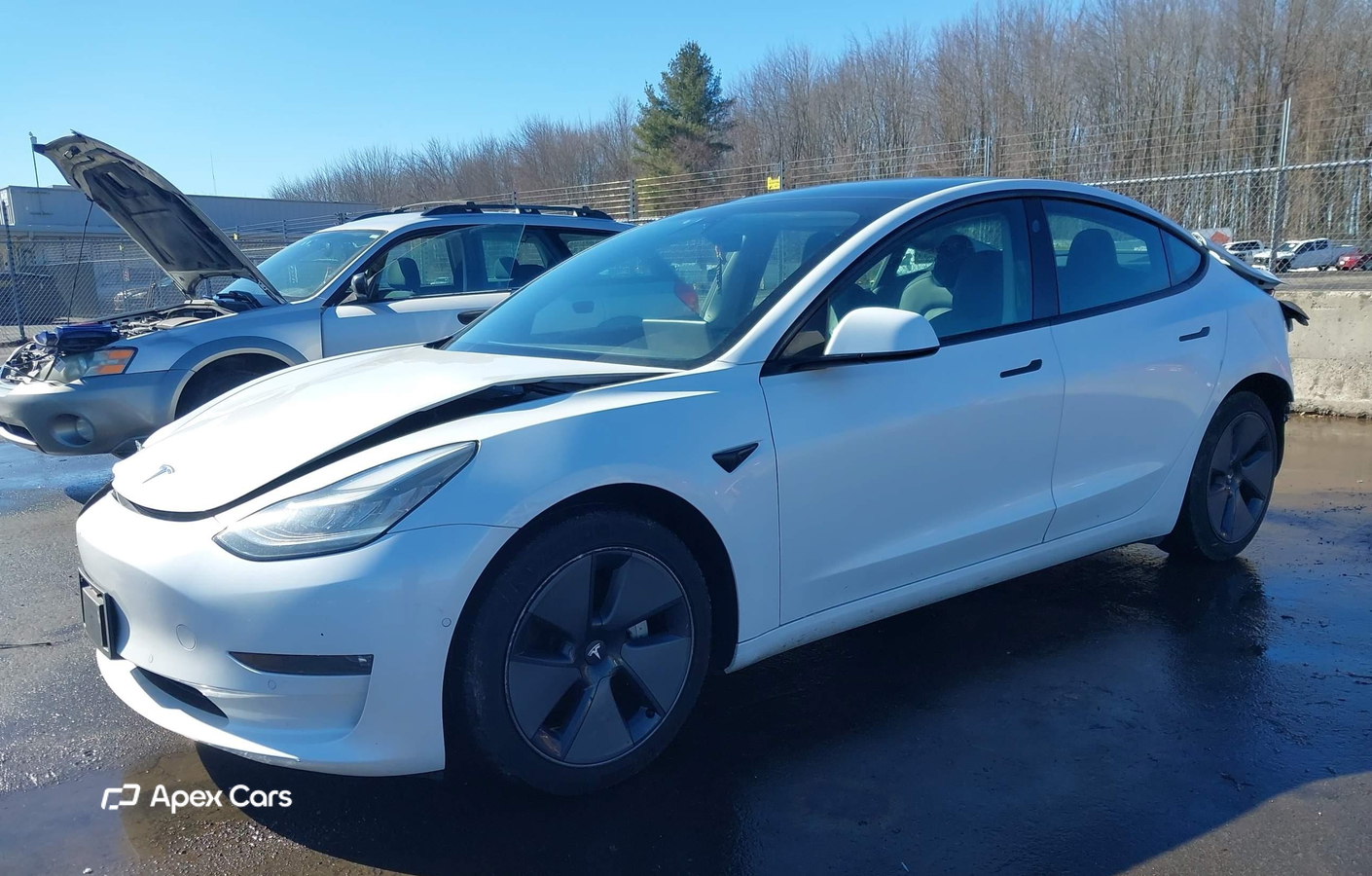 Tesla Model 3 2021