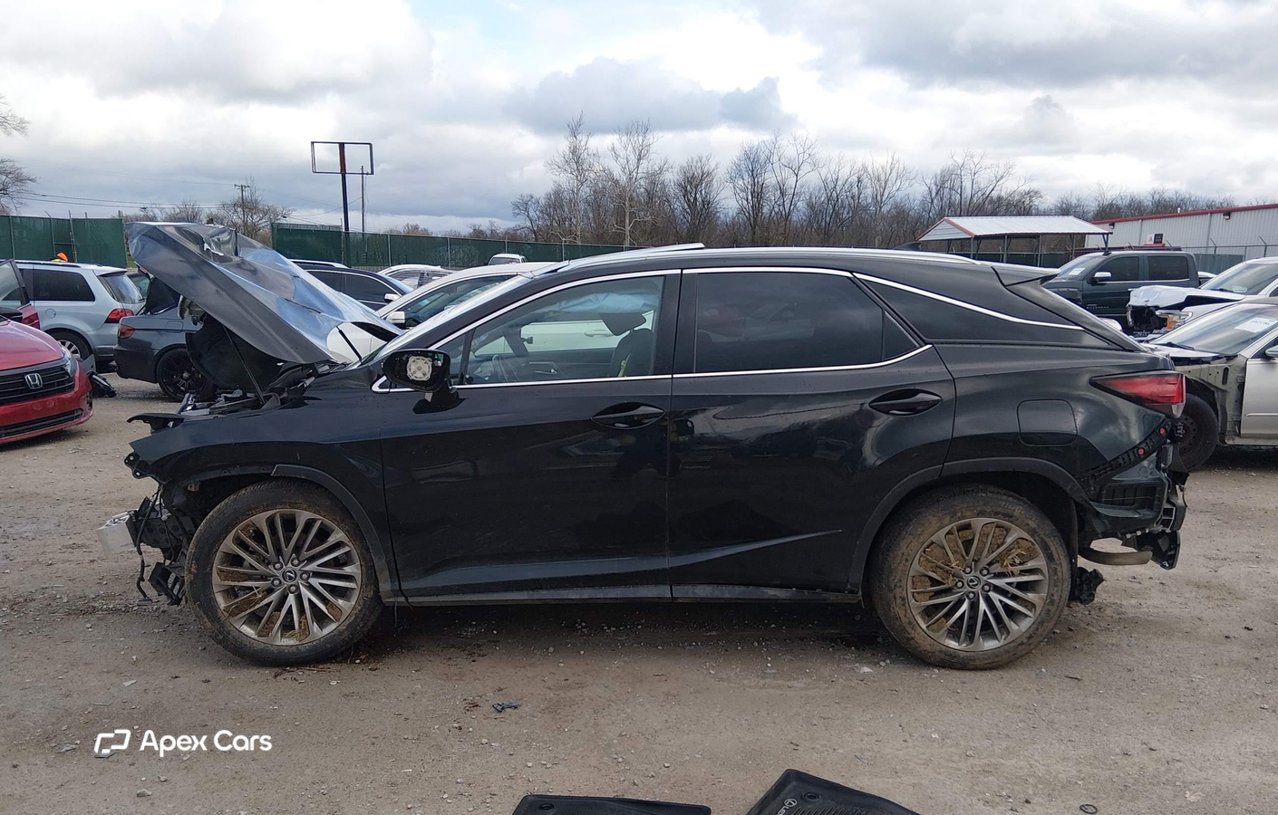 Lexus RX 2020