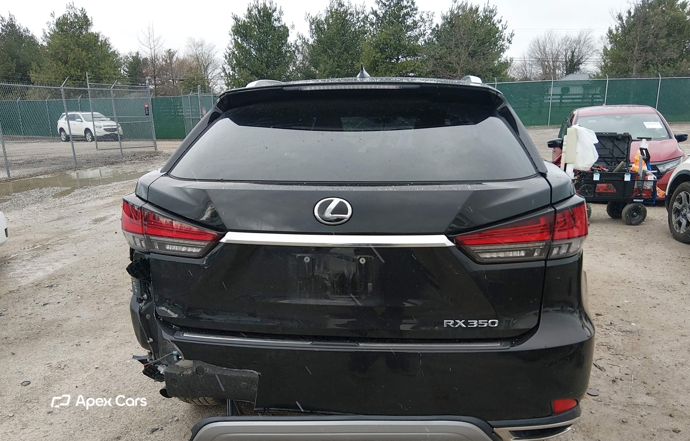 Lexus RX 2020