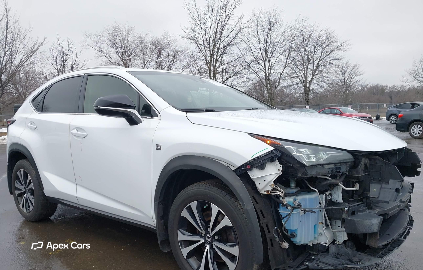 Lexus NX 2018