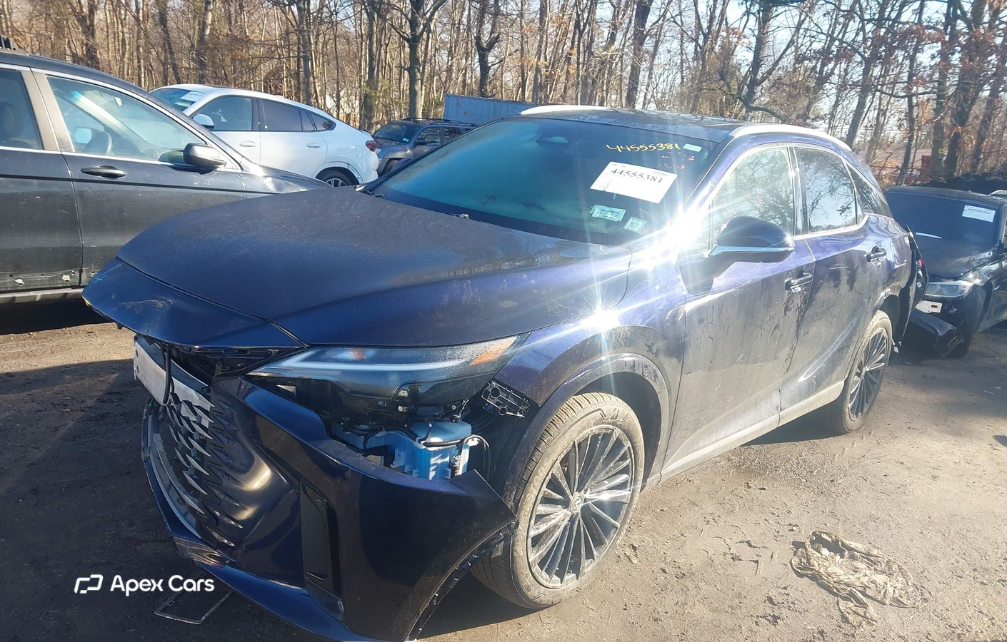 Lexus RX 2025