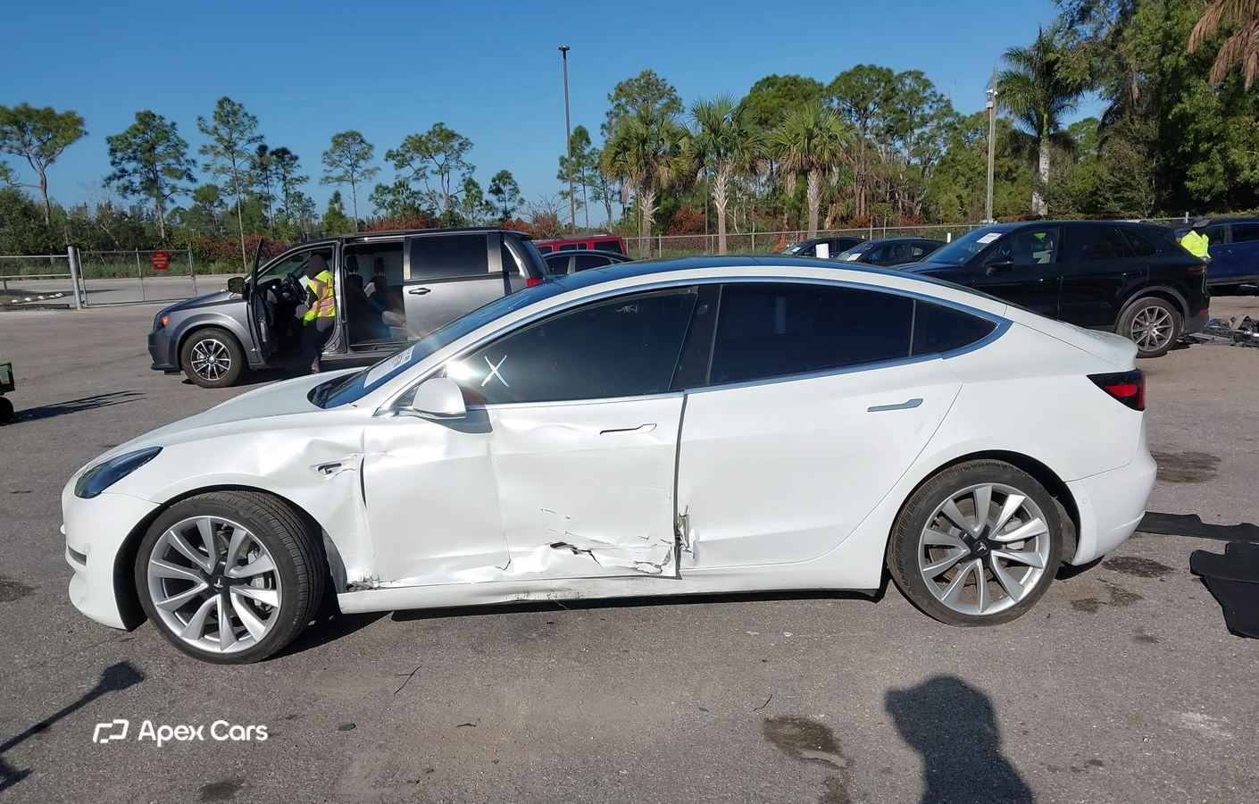 Tesla Model 3 2019