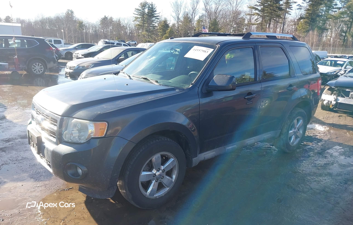 Ford Escape 2009