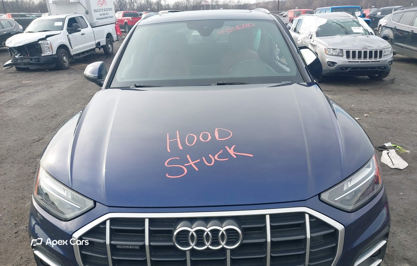Audi Q5 2021