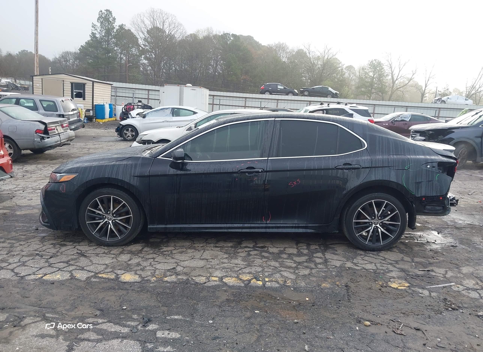 Toyota Camry 2024