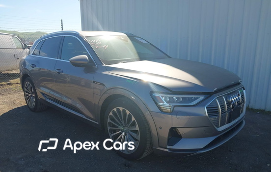 Audi e-tron 2019 - Zdjęcie 1 z 18