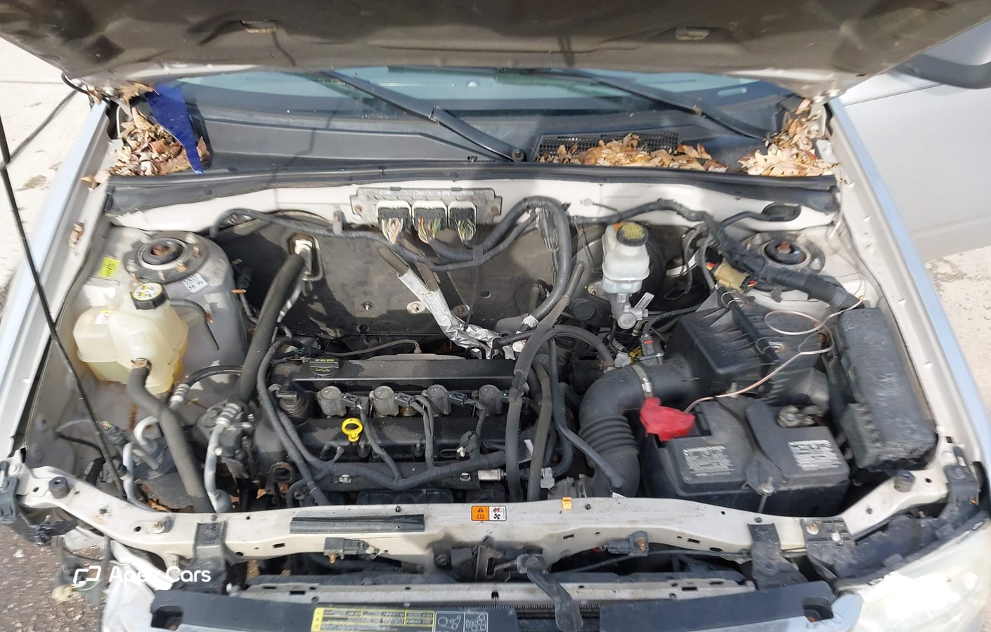Ford Escape 2010