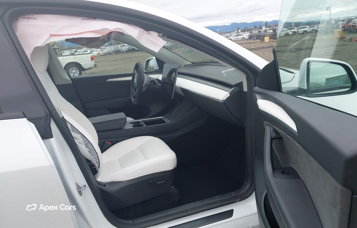 Tesla Model Y 2025