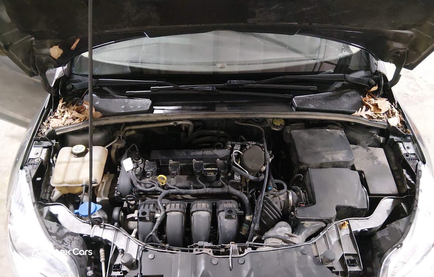 Ford Focus 2012