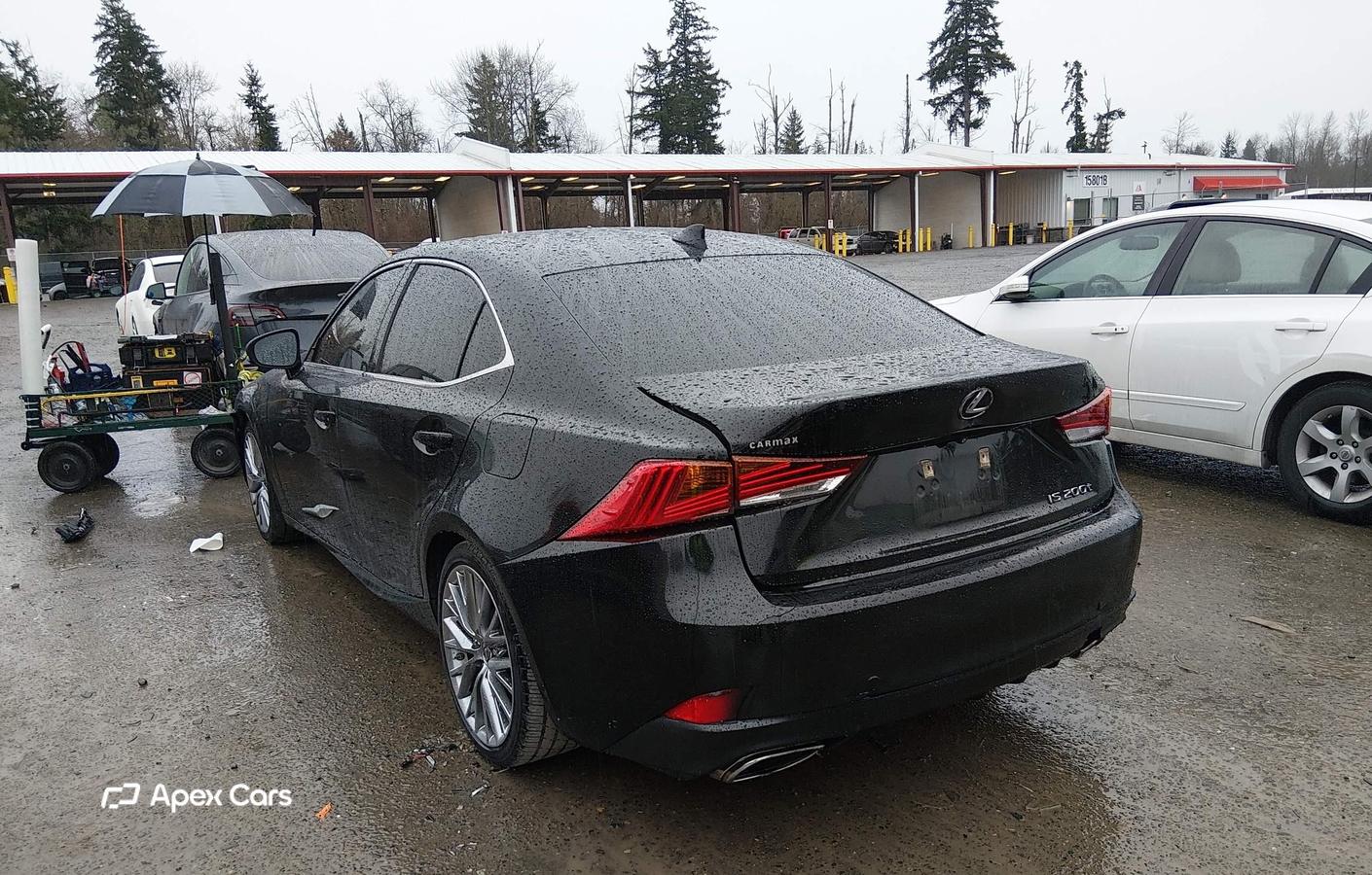 Lexus IS 2017