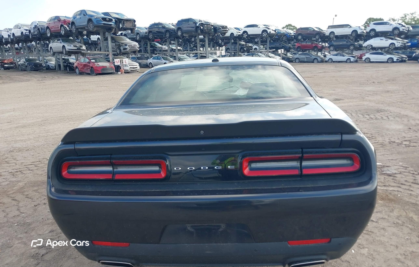 Dodge Challenger 2019