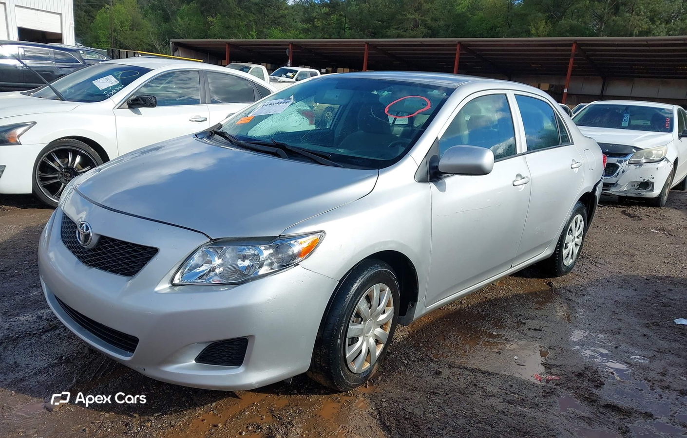 Toyota Corolla 2010