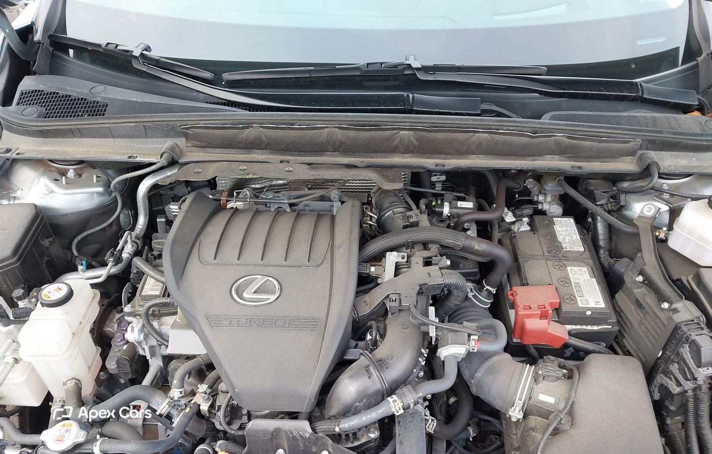 Lexus RX 2023