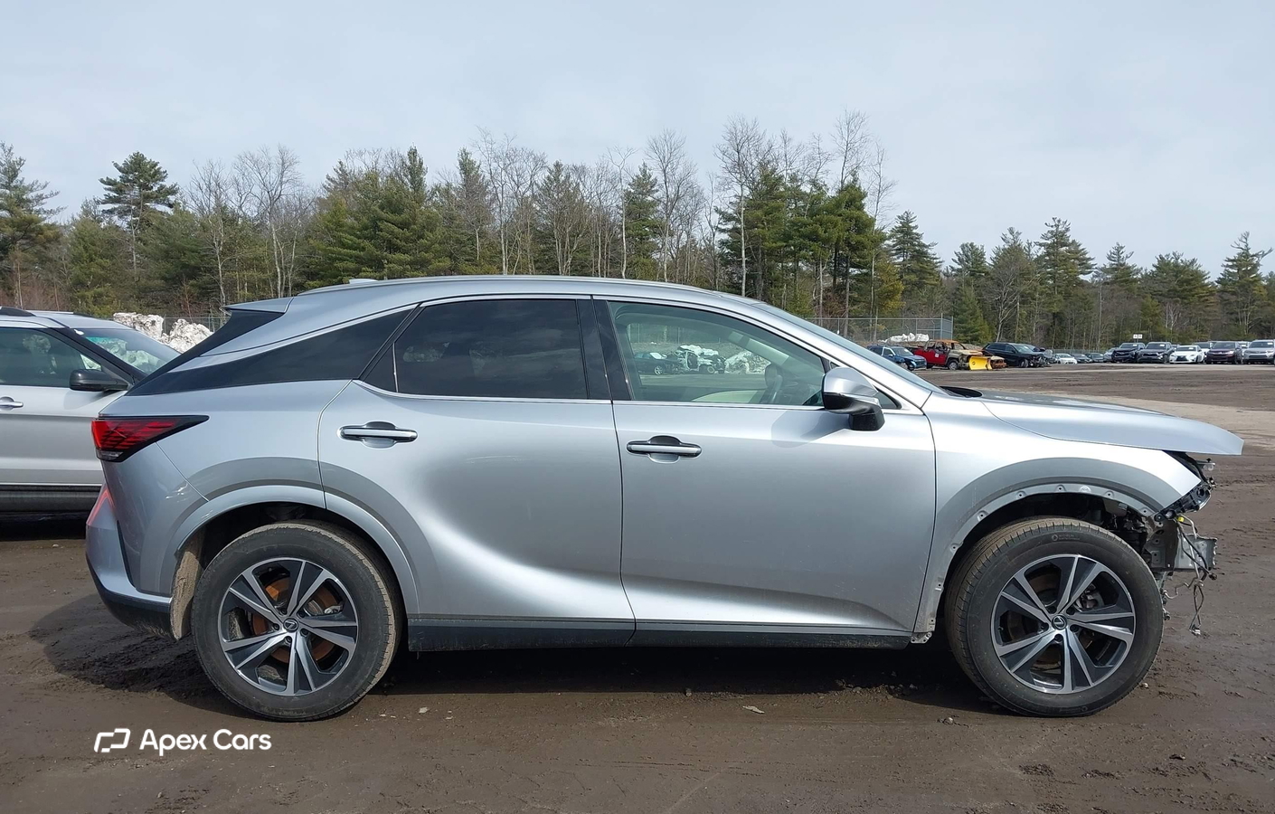 Lexus RX 2023