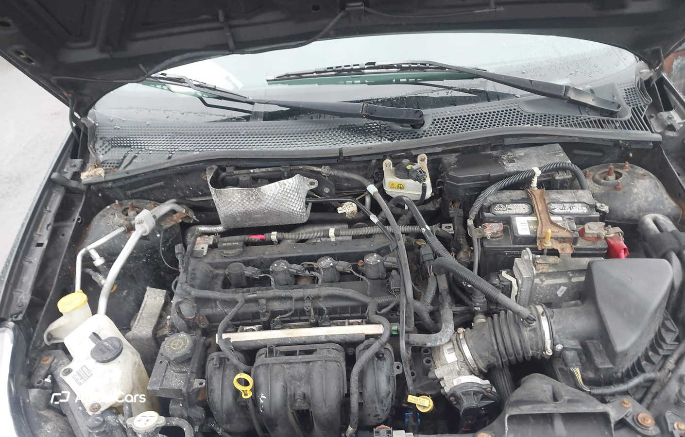 Ford Focus 2009