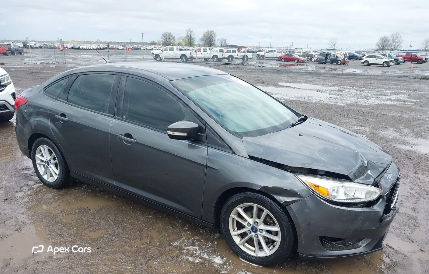 Ford Focus 2017