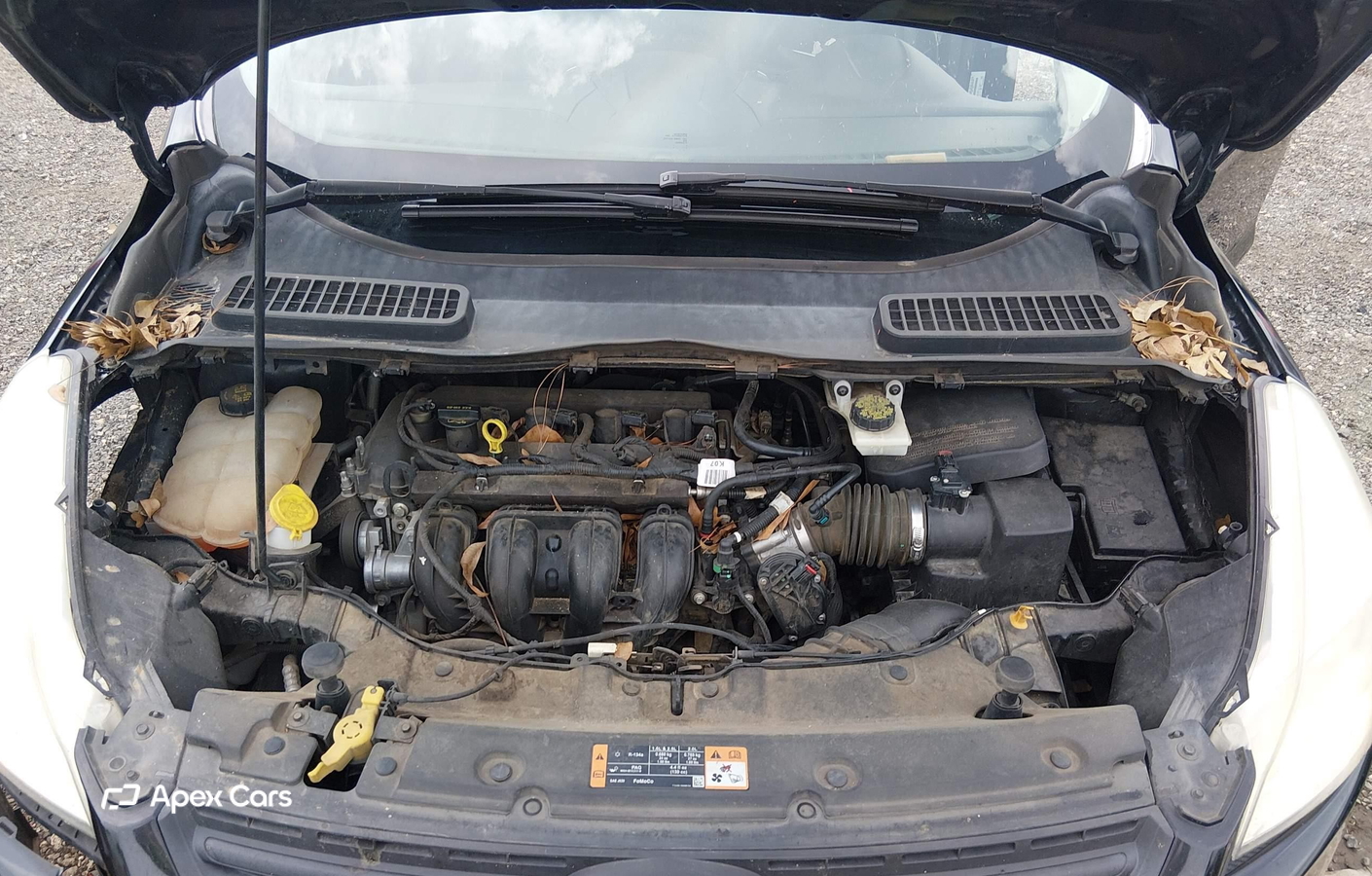 Ford Escape 2014