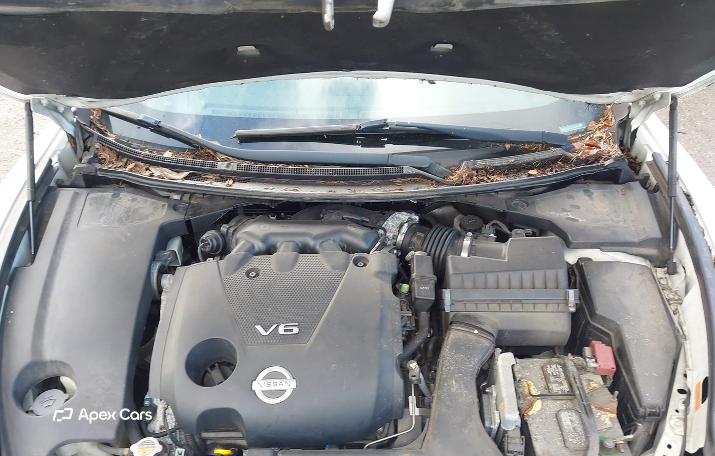 Nissan Maxima 2012
