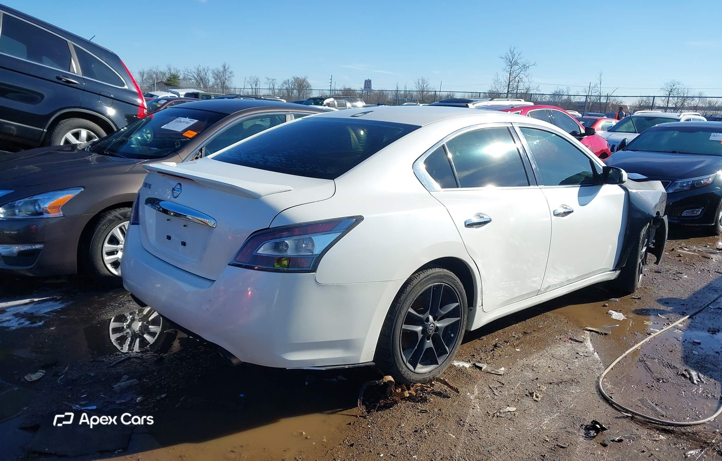 Nissan Maxima 2014