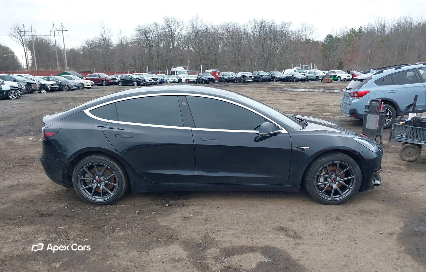 Tesla Model 3 2020