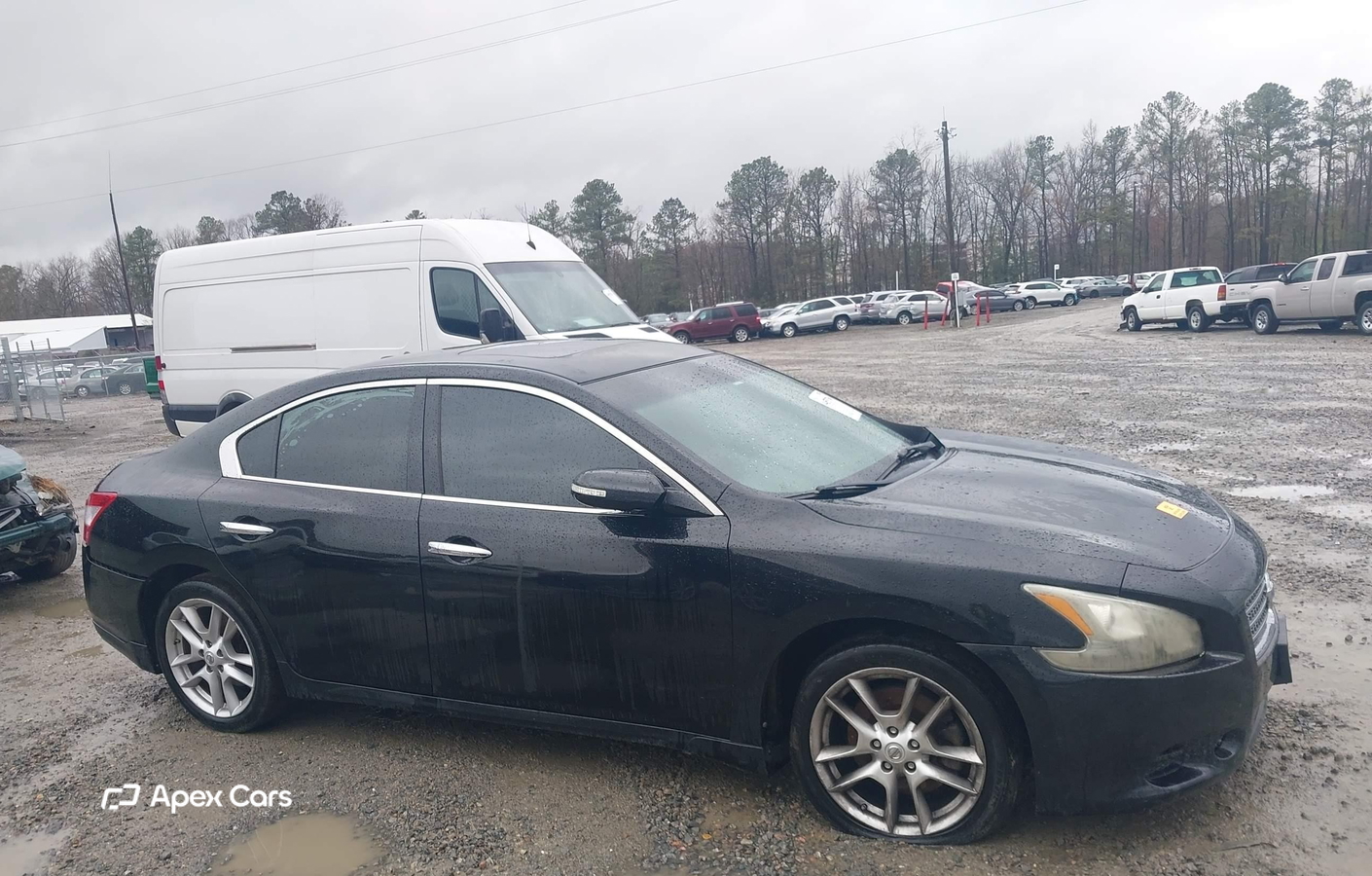 Nissan Maxima 2011