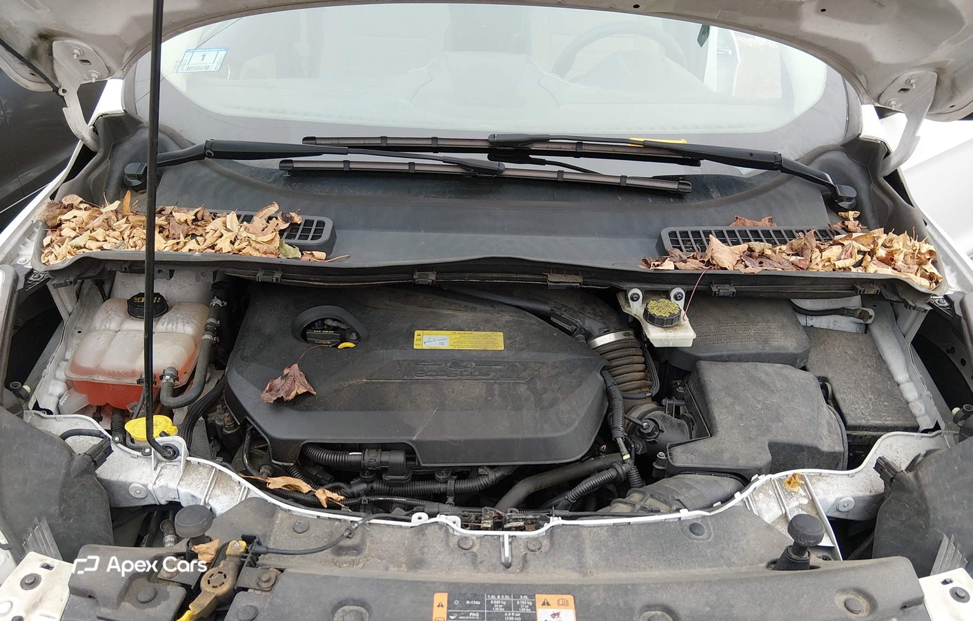 Ford Escape 2014