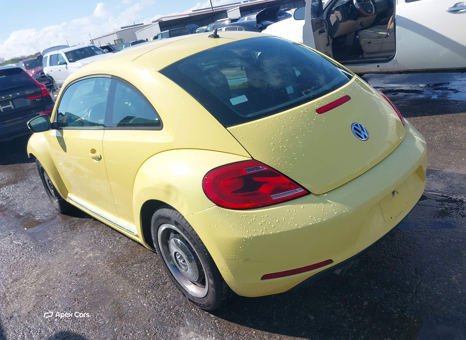 Volkswagen Beetle 2013