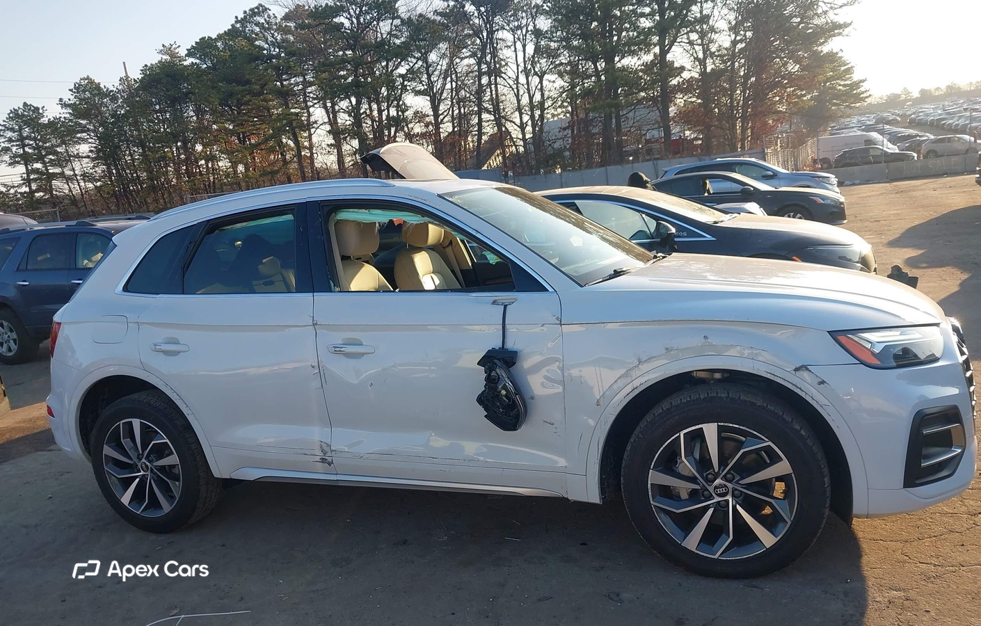 Audi Q5 2021