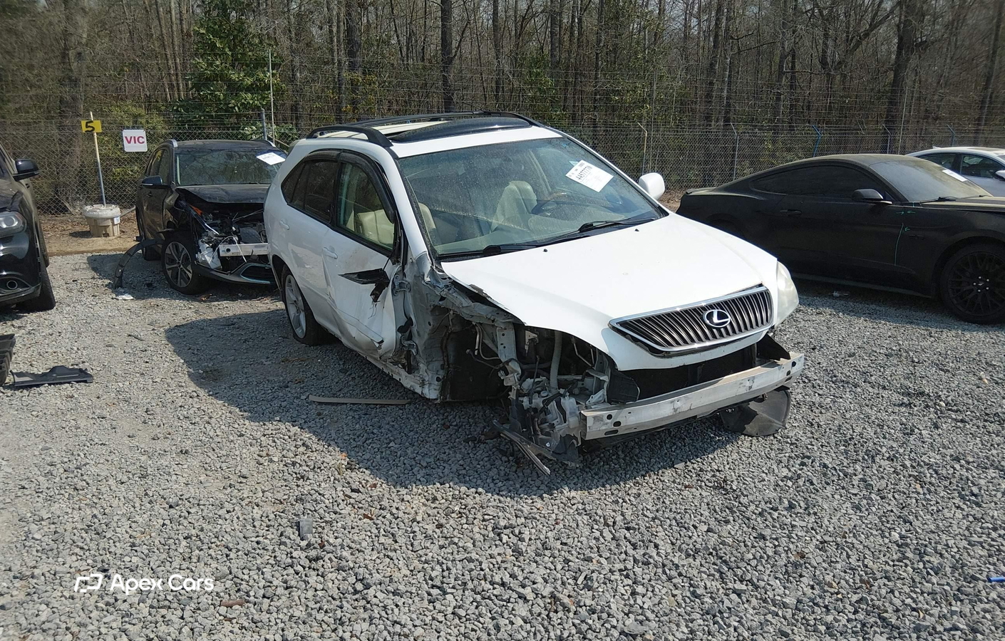Lexus RX 2005