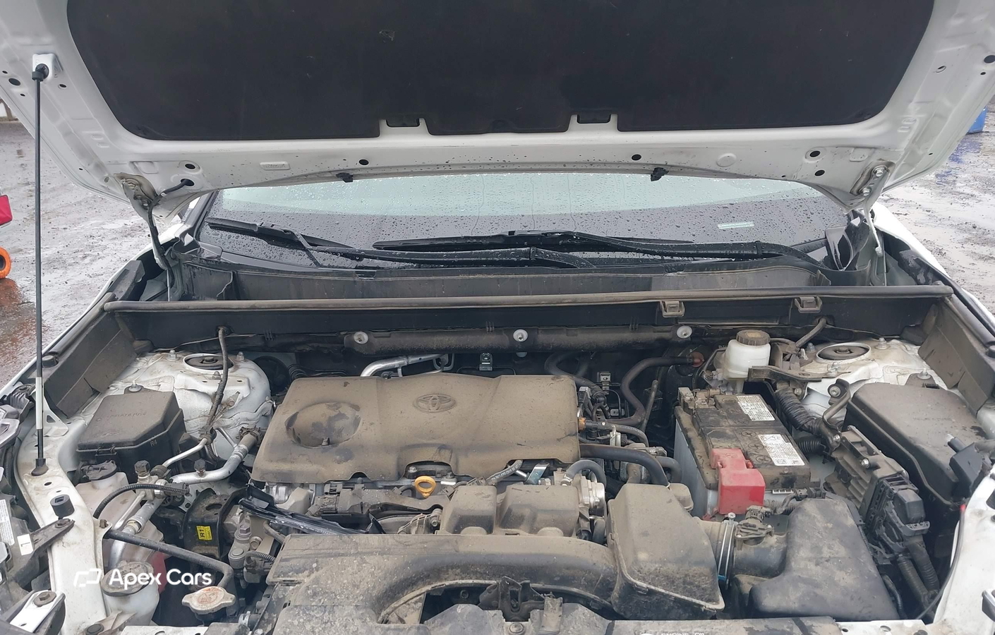 Toyota RAV 4 2024