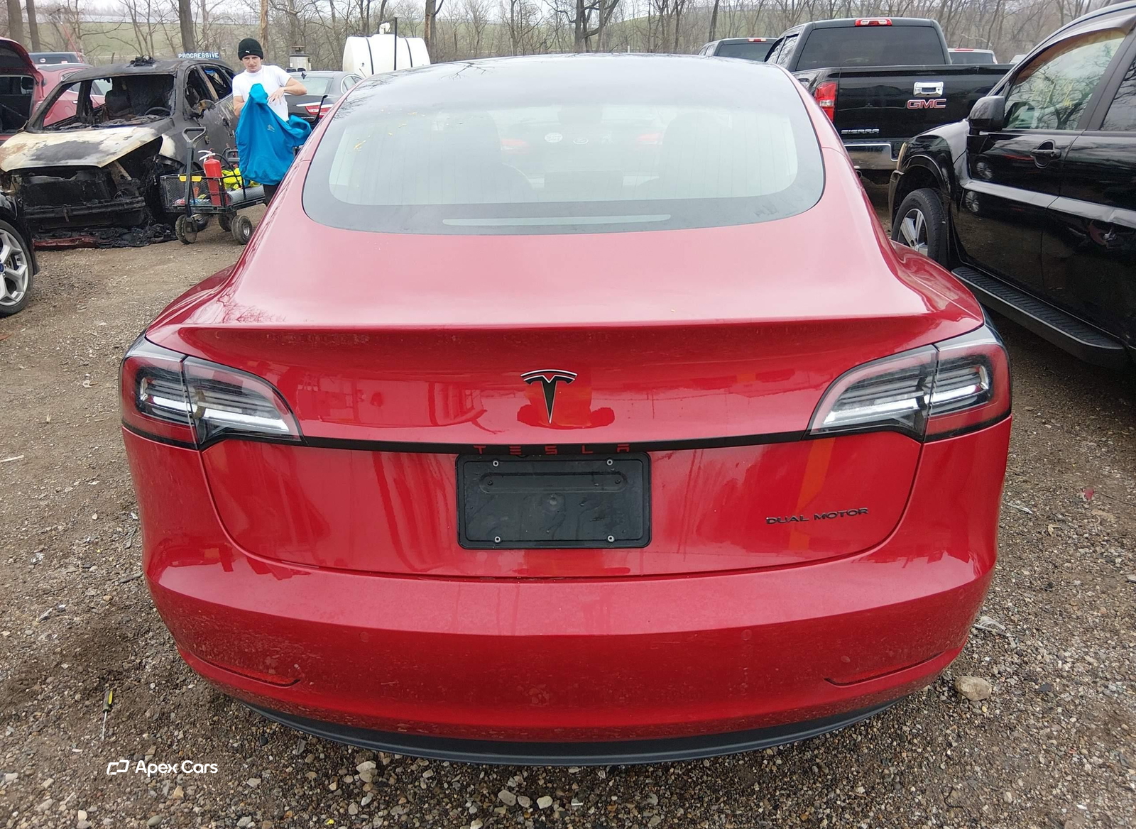Tesla Model 3 2019