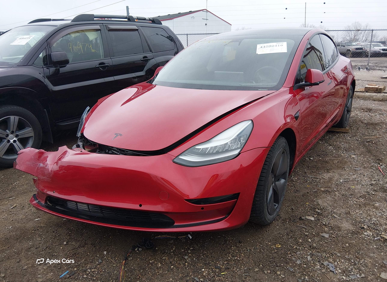 Tesla Model 3 2019