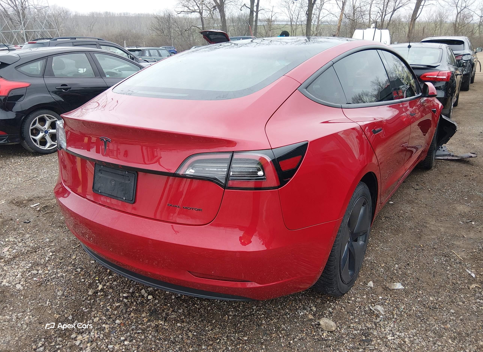 Tesla Model 3 2019