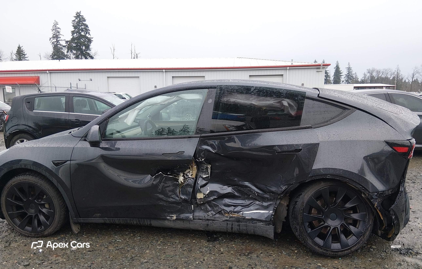 Tesla Model Y 2025