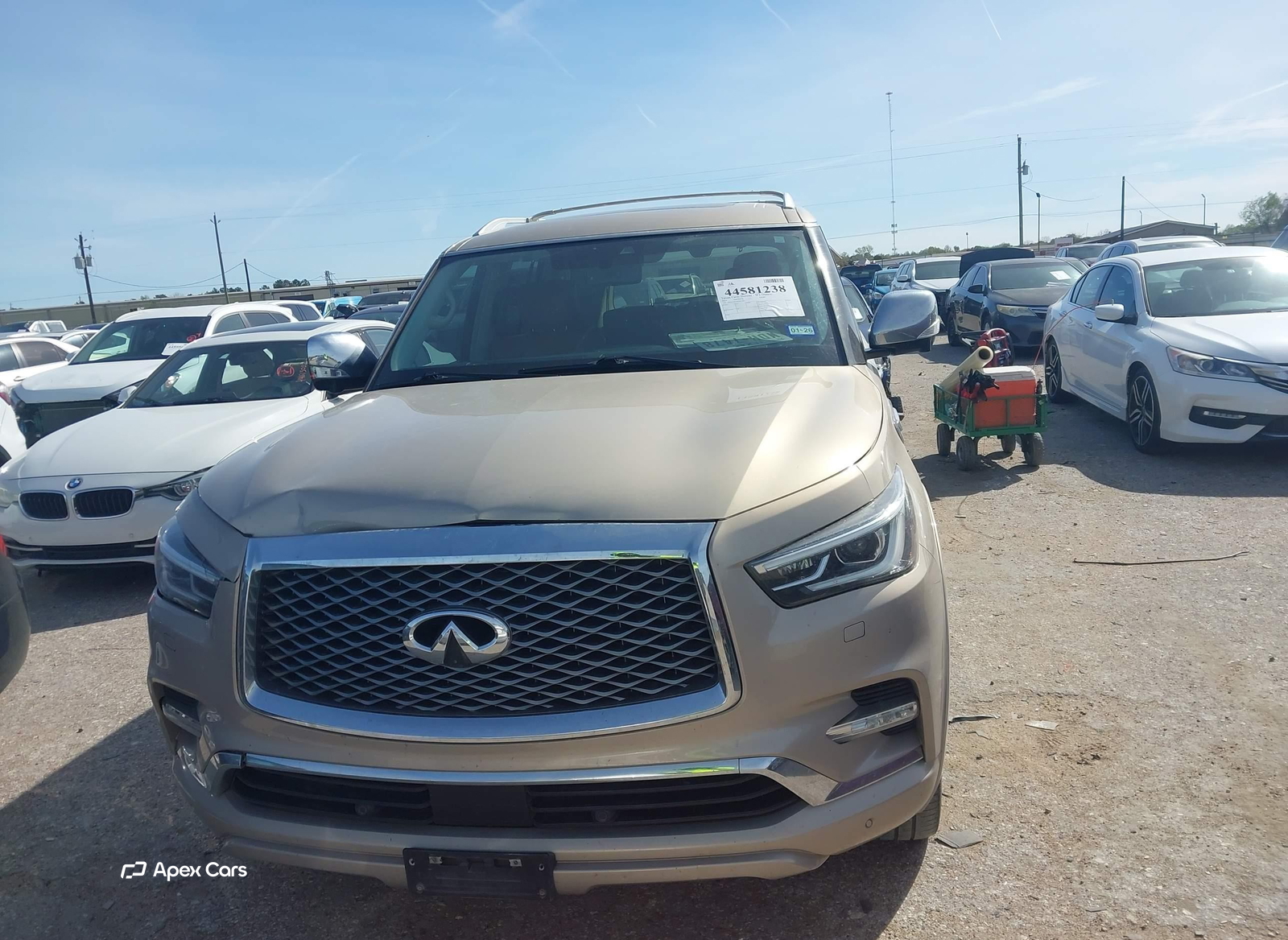 Infiniti QX80 2019