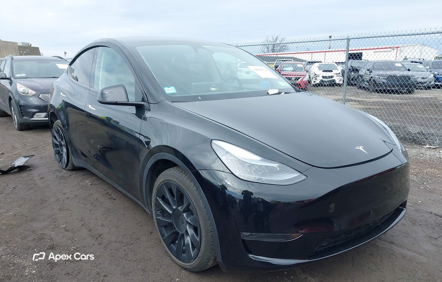 Tesla Model Y 2023