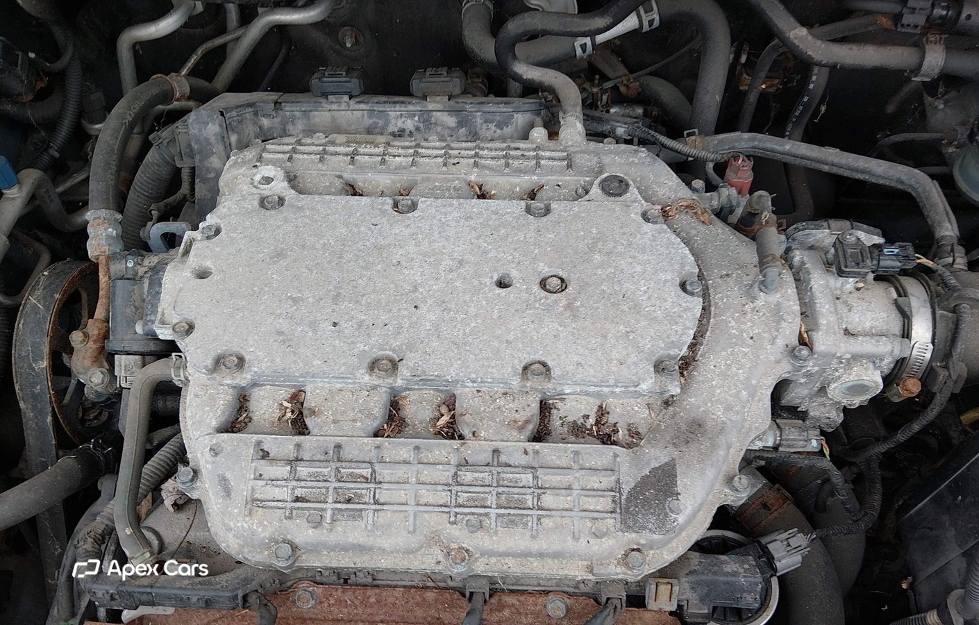 Honda Odyssey 2006