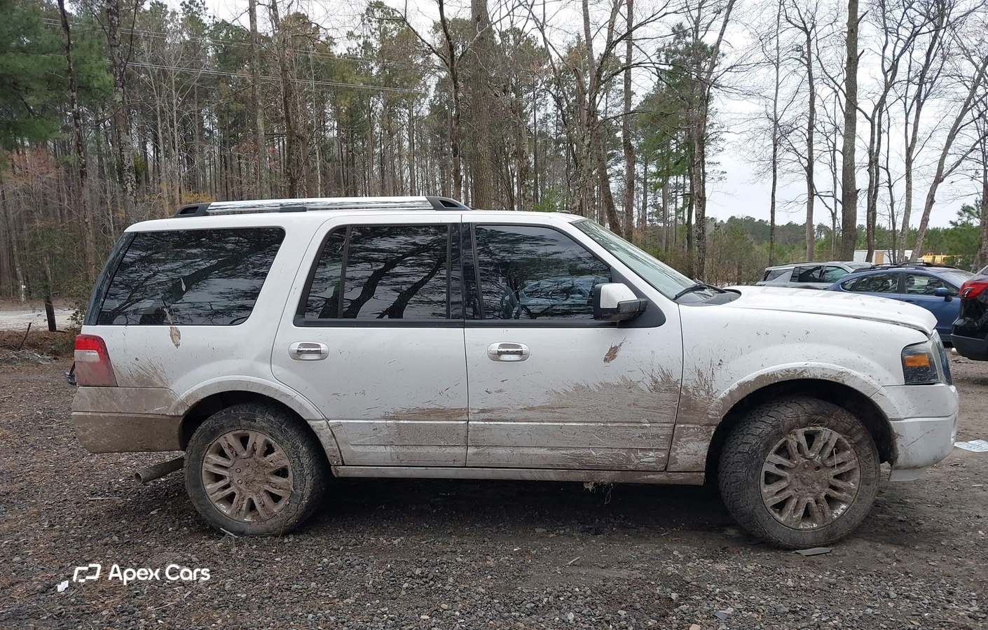 Ford Expedition 2014