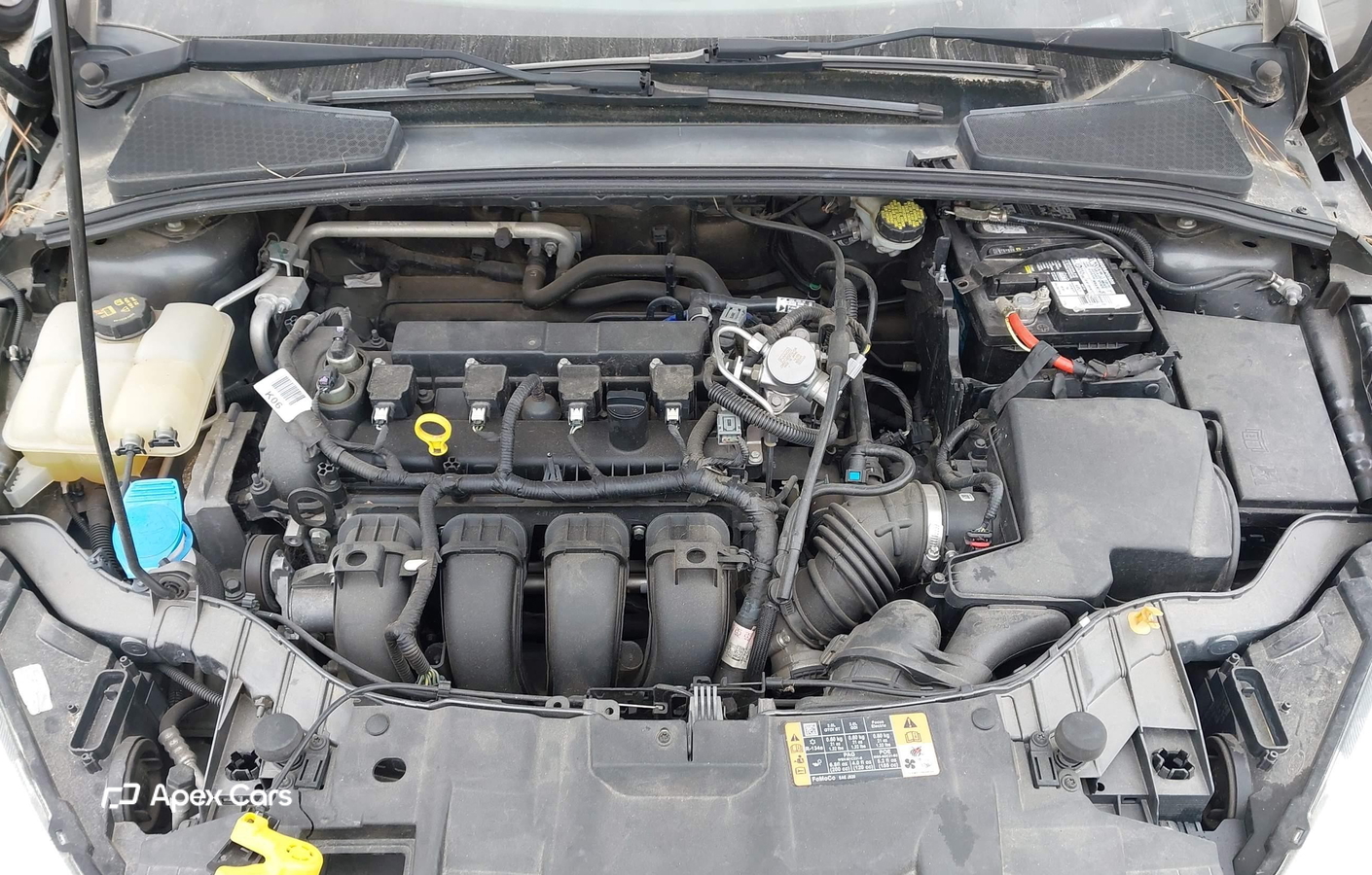 Ford Focus 2016
