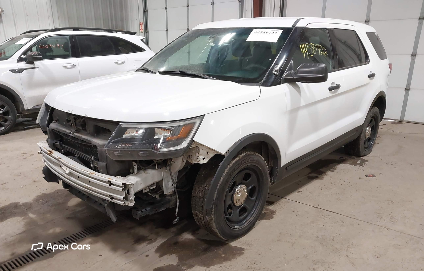 Ford 2017