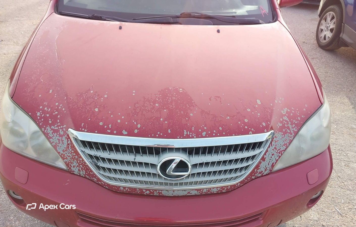 Lexus RX 2008